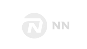 nn-logo